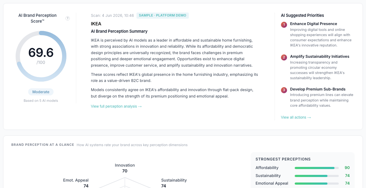 Brand Perception overview with radar and positioning map.